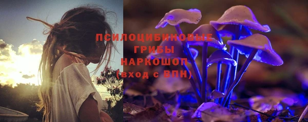 МДПВ Алзамай