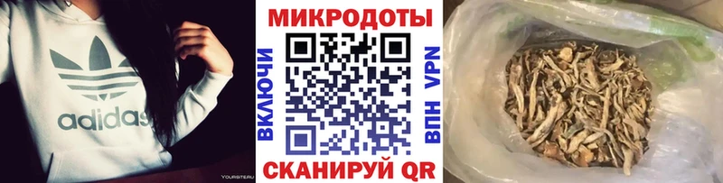 купить наркоту  OMG tor  Псилоцибиновые грибы Magic Shrooms  Лесной 
