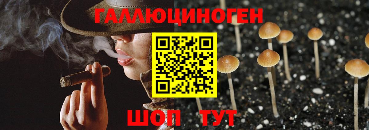 Лесной  Псилоцибиновые грибы мухоморы  Вход с VPN 