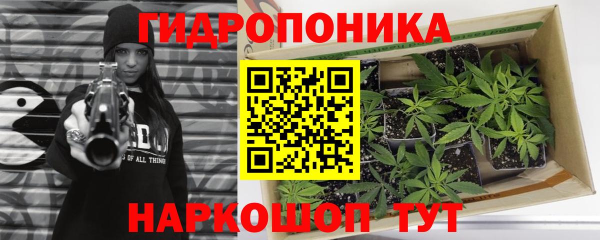 Лесной  Конопля семена  Вход с VPN  МАРИХУАНА OG Kush 